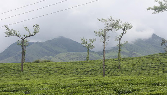 സൂചിപ്പാറ വാട്ടര്‍ഫാള്‍സിലേക്ക്