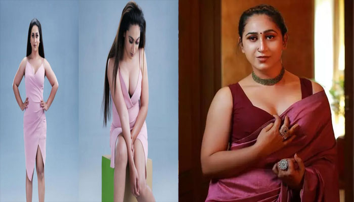 വസ്ത്രത്തില്‍ പ്രകോപിതര്‍ ആകുന്നവര്‍ക്ക് സമര്‍പ്പിക്കുന്നു; പുതിയ പോസ്റ്റുമായി  നടി അഞ്ജലി അമീര്‍