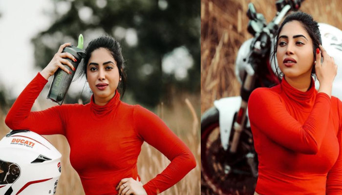 ഹിമാലയത്തിലേക്ക് ട്രിപ് പോവാന്‍ റെഡിയാവുമ്പോഴാണ്‌ സര്‍കാര്‍ പെട്രോള്‍ വില 92 ആക്കുന്നത്; ഹിമാലയൻ യാത്ര ഉപേക്ഷിച്ച്  നടി അമേയ മാത്യു