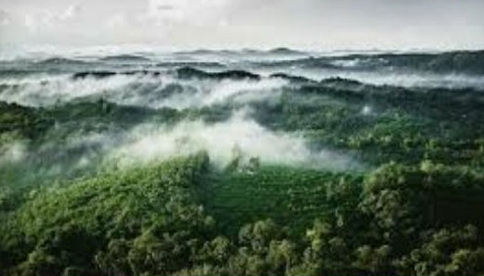 അഞ്ചുമലപ്പാറയിലേക്ക് ഒരു യാത്ര പോകാം 