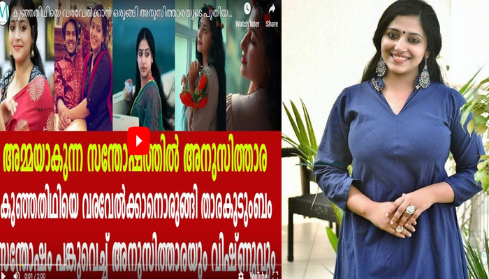 അനു സിത്താര ഗര്‍ഭിണിയാകുന്നു എന്ന് വ്യാജ വാര്‍ത്ത; എപ്പോള്‍ ഞാനറിഞ്ഞില്ലല്ലോ..  എന്ന് താരത്തിന്റെ കിടിലന്‍ മറുപടി; യുട്യൂബ് ചാനല്‍ വാര്‍ത്തയ്‌ക്കെതിരെ തുറന്നപ്രതികരണം നടത്തിയ താരത്തിന് കൈയ്യടിച്ച് സോഷ്യല്‍ മീഡിയ