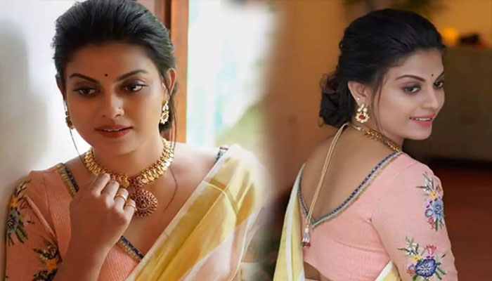 നടിയായിരുന്നില്ലെങ്കിൽ ആരാകുമായിരുന്നു എന്ന് ചോദിച്ച് ആരാധകൻ; കിടിലൻ മറുപടിയുമായി അനുശ്രീ 