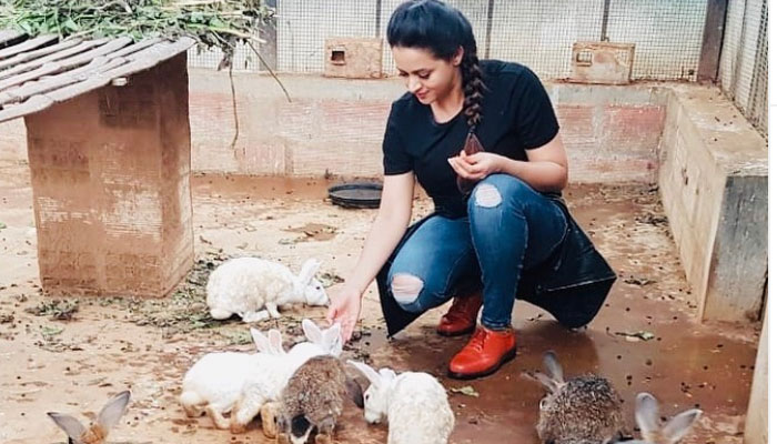 മൃഗങ്ങളോടുള്ള ക്രൂരതയ്‌ക്കെതിരെ പരസ്യ പ്രതികരണവുമായി ഭാവന; സ്‌നേഹിച്ചില്ലെങ്കിലും ദ്രോഹിക്കെല്ലെന്നും താരം; മുയലിന് തീറ്റി നല്‍കുന്ന ഭാവനയുടെ ചിത്രം വൈറല്‍