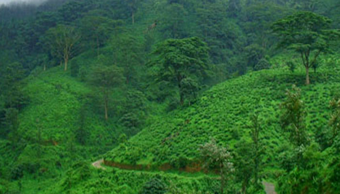 ബോണക്കാടിന്റെ സൗന്ദര്യം ആസ്വദിക്കാം 