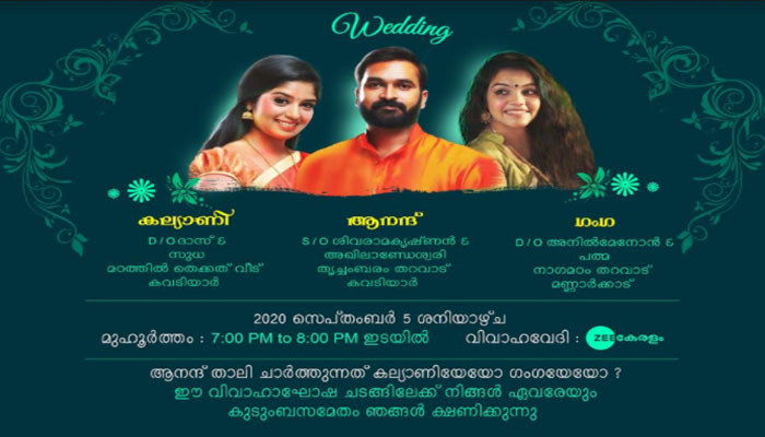 കല്യാണിയെ വരണമാല്യം ആനന്ദ് അണിയിക്കുമോ; 'ചെമ്പരത്തി'യില്‍ ഉദ്വേഗഭരിതമായ സ്വയംവരം 