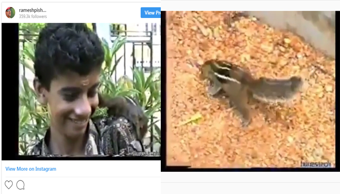 ചേട്ടാ.. ഈ പേരിനോട് സാദൃശ്യമുളള ഒരു സന്തതസഹചാരി ഇപ്പോഴും ഉണ്ടല്ലോ..ധര്‍മ്മജന്‍; തന്റെ വളര്‍ത്ത് അണ്ണാന്‍ ബജ്‌റങ്കനുമായുളള വീഡിയോ പങ്കുവച്ച് രമേശ് പിഷാരടി