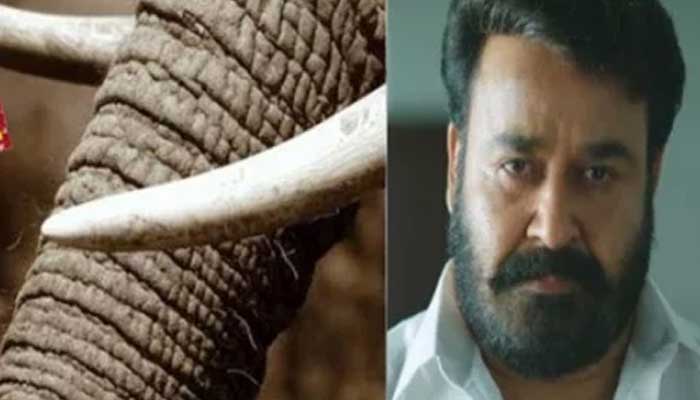 ആനക്കൊമ്പ് കേസിൽ മോഹൻലാലിന് ക്ലീൻചിറ്റ് നൽകി വനംവകുപ്പ്; ആനക്കൊമ്പ് പരമ്പരാഗതമായി കിട്ടിയതെന്ന സൂപ്പർതാരത്തിന്റെ അവകാശവാദം ശരിവെച്ച് ഫോറസ്റ്റ് ചീഫ് പ്രിൻസിപ്പൽ കൺസർവേറ്റർ; ഹൈക്കോടതിയിൽ സമർപ്പിച്ച റിപ്പോർട്ടോടെ പ്രഥമദൃഷ്ട്യാ കുറ്റം നിലനിൽക്കുമെന്ന് ഹൈക്കോടതി കണ്ടെത്തിയ കേസിൽ മോഹൻലാലിന് ആശ്വാസമായേക്കും