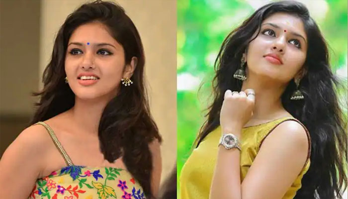 എന്നെ മതിയെന്നാണ് പറയുന്നത്; ആസിഡ് അറ്റാക്ക് ഉണ്ടാകുമോ എന്ന ഭയമാണ് ഇപ്പോൾ ഉള്ളത്: ഗായത്രി സുരേഷ്