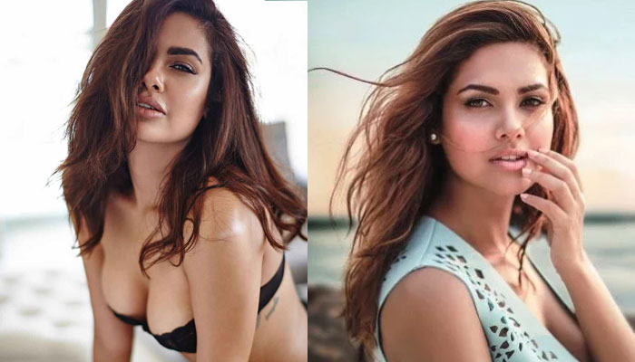  എനിക്ക് ചിലവിന് തരുന്നത് നിങ്ങളല്ലല്ലോ.. തന്റെ അഭിപ്രായം എനിക്ക് ഒന്നുമല്ല; ചൊറിയാന്‍ വന്ന ആരാധകന് മറുപടിയുമായി ഇഷ ഗുപ്ത