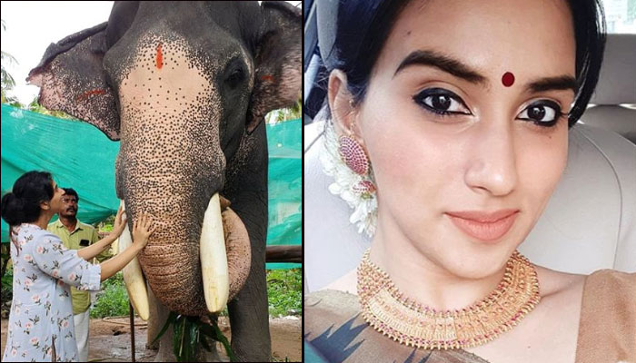അച്ഛന്റെ മോളു തന്നെ എന്നു തെളിയിച്ച് ചക്കി..! ഗുരുവായൂരില്‍ തൊഴാന്‍ എത്തിയ ജയറാമിന്റെ മകള്‍ ചെയ്തത് കണ്ടോ? കൈയടിച്ച് ആരാധകര്‍