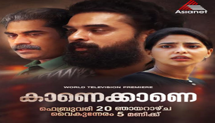 മലയാളചലച്ചിത്രം 