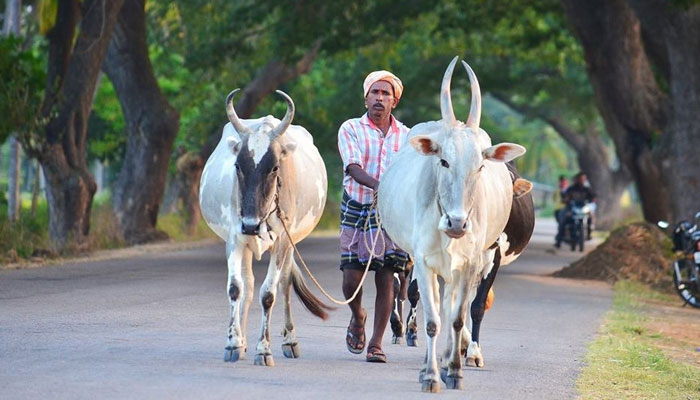 ഒരു മൈസൂർ യാത്ര