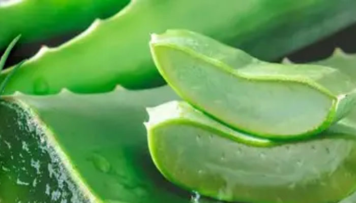 ചർമ്മത്തിലെ എല്ലാ പ്രശ്നങ്ങൾക്കും ഇനി കറ്റാർവാഴ ജെൽ  
