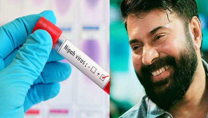 ഭീതി വേണ്ട, ജാഗ്രത മതി! എല്ലാവര്‍ക്കും കൂട്ടായ്മയുടെ പെരുന്നാള്‍ ആശംസകള്‍; നിപ്പയില്‍ ബോധവല്‍ക്കരണവുമായി മമ്മൂട്ടി