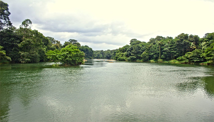 മണിമലയാര്‍ ഡാം