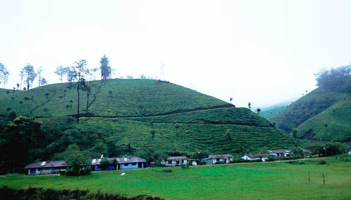 മറയൂരിന്റെ സൗന്ദര്യം നുകർന്നൊരു യാത്ര 