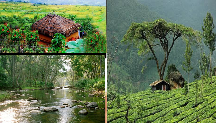 മറയൂര്‍ കണ്ണിനു കുളിരു പകരുന്ന ഗ്രാമ സൗന്ദര്യം
