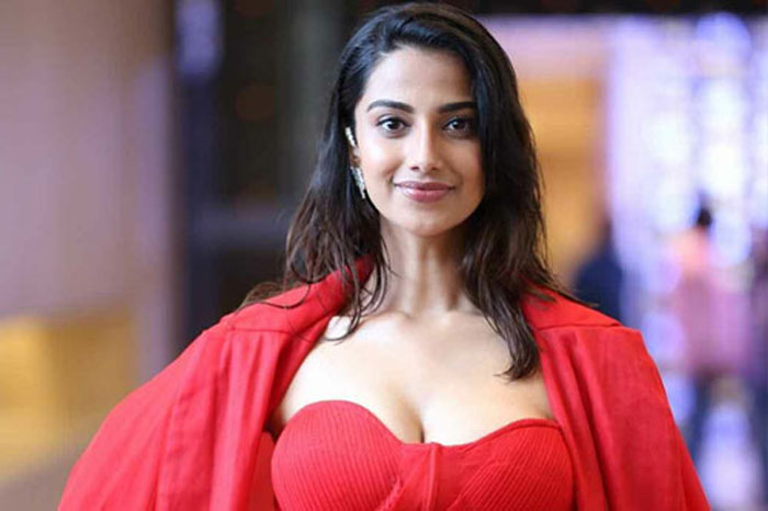  ഗോട്ട് സിനിമയ്ക്ക് ശേഷം തനിക്ക് ലഭിച്ച ട്രോളുകള്‍ നിരവധി; ഡിപ്രഷനിലേക്ക് വരെ എത്തിയിരുന്നു; നല്ല പ്രേജക്റ്റകള്‍ തിരിഞ്ഞെടുക്കണമെന്ന് പിന്നീട് മനസിലായി; മീനാക്ഷി 