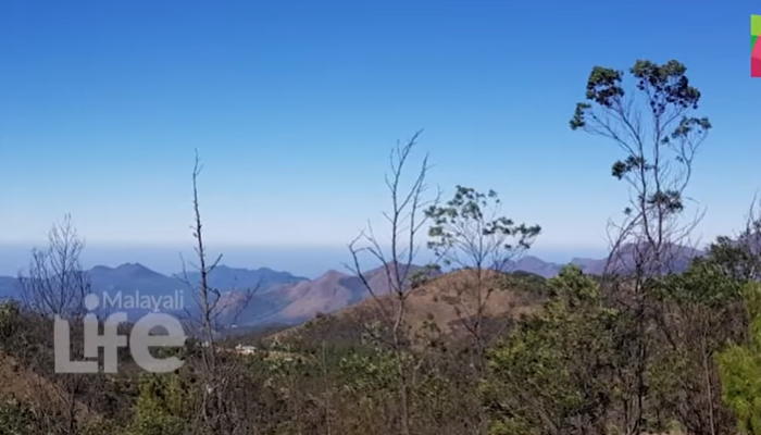   മീശപ്പുലി മലയില്‍ മഞ്ഞുപ്പെയ്യുന്നു.. അപൂര്‍വ്വ കാഴ്ച ആസ്വദിക്കാന്‍  പോകേണ്ടവര്‍  അറിയേണ്ടത്..