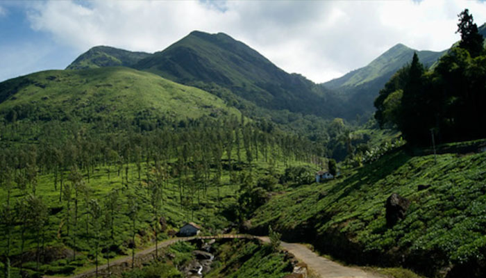 നീലഗിരിയിലേക്ക് ഒരു മനോഹര യാത്ര 