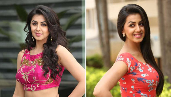 നടി നിക്കി ഗൽറാണിയുടെ വീട്ടിൽ മോഷണം; പിടിയിലായി പത്തൊൻപത് കാരൻ