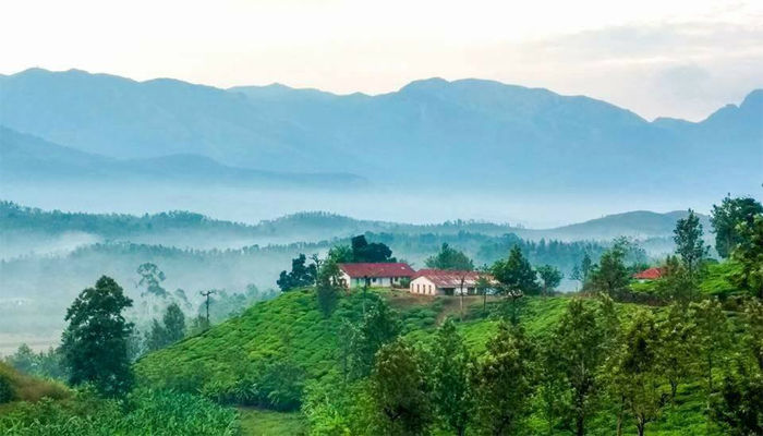 നീലഗിരിക്കുന്നുകളിലേക്ക് ഒരു മഞ്ഞുകാലത്ത് യാത്ര പോയപ്പോള്‍...