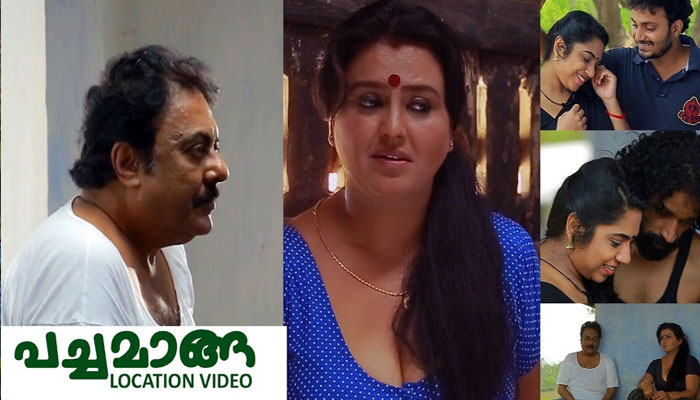 മലയാള സിനിമയില്‍ ആദ്യമായി 250ലധികം സിനിമാ പ്രവര്‍ത്തകരുടെ ഫേസ്ബുക്ക് പേജിലൂടെ പോസ്റ്റര്‍ പ്രദര്‍ശനം; സോന മലയാളത്തില്‍ ശ്രദ്ധേയവേഷത്തിലെത്തുന്ന പച്ചമാങ്ങ സിനിമ ഉടന്‍ തീയറ്ററുകളിലേക്ക് 