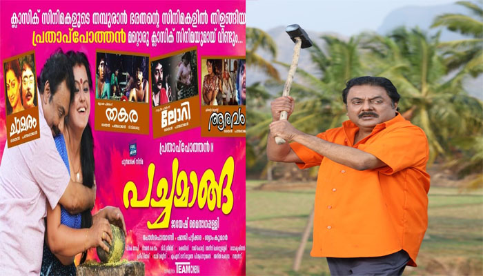 ഭരതന്‍, പത്മരാജന്‍ ക്ലാസിക് ചിത്രങ്ങളുടെ ടച്ചുമായി പ്രതാപ് പോത്തന്റെ 'പച്ചമാങ്ങ' തീയേറ്ററിലേക്ക്; ചിത്രം ഫെബ്രുവരി 7 ന് റിലീസിനെത്തും..