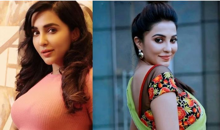 നടി പാര്‍വ്വതി നായരുടെ ചെന്നൈയിലെ വീട്ടില്‍ കവര്‍ച്ച;ലക്ഷങ്ങളുടെ നഷ്ടം; മോഷണം നടന്നത് നടി അറിഞ്ഞത് ഷൂട്ടിങ് കഴിഞ്ഞ് രാത്രി വീട്ടില്‍ മടങ്ങിയെത്തിയപ്പോള്‍