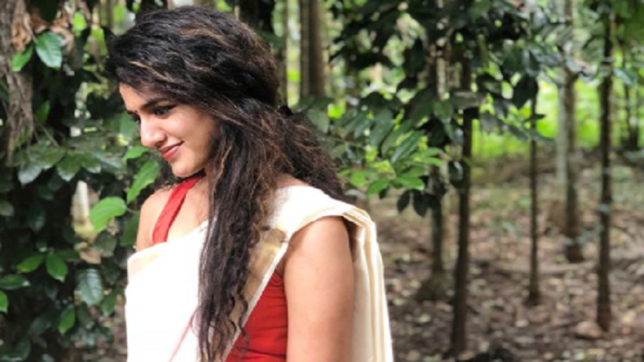 'ചില കാര്യങ്ങള്‍ ഒരിക്കലും മാറില്ല'; സ്ലീവ്ലെസ് ബ്ലൗസില്‍ സാരി ഉടുത്ത്  പ്രിയ വാര്യര്‍ ചിത്രങ്ങള്‍ വൈറല്‍ !!