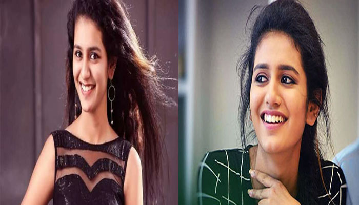 '' മനശാന്തിയും മാനസികാരോ​ഗ്യവുമാണ് തനിക്ക് മുഖ്യം'' ;ഇന്‍സ്റ്റ​ഗ്രാമിലേക്ക് മടങ്ങിയെത്തി പ്രിയ വാര്യര്‍; സോഷ്യല്‍ മീഡിയ വിടാന്‍ കാരണം ഇതായിരുന്നു; വീഡിയോ വൈറൽ 