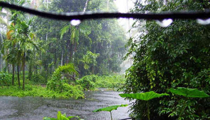  അന്നു പെയ്ത മഴയില്‍-ചെറുകഥ