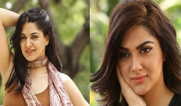 ഒരു രാത്രിയ്ക്ക് ഒരുകോടി നല്‍കാമെന്ന് അസഭ്യസന്ദേശം; നടി സാക്ഷി ചൗധരി നല്‍കിയ മറുപടി വൈറല്‍