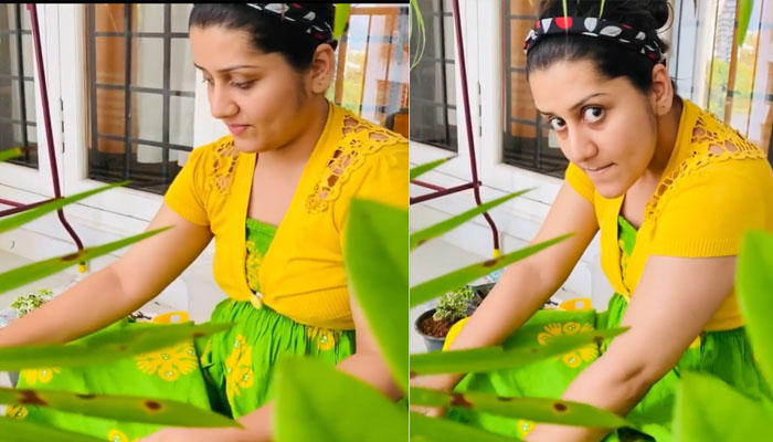 ഇത്തിരി പച്ച ഒത്തിരി സന്തോഷം;  ബാൽക്കണിയിൽ പച്ചപ്പൊരുക്കി  സരയു മോഹൻ 