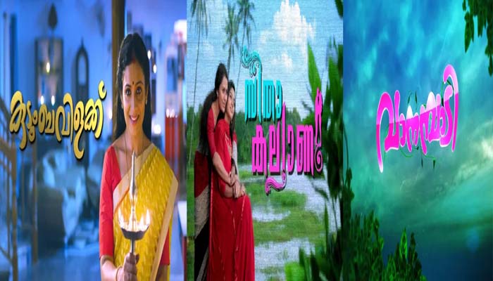  എടുപിടീന്ന് തീര്‍ത്ത് നീലക്കുയില്‍; പ്രകാശനെ ജയിലിലാക്കി മൗനരാഗം, മേനോനെ കണ്ടെത്താതെ വാനമ്പാടി; സീരിയലുകള്‍ക്ക് അകാലമരണം..