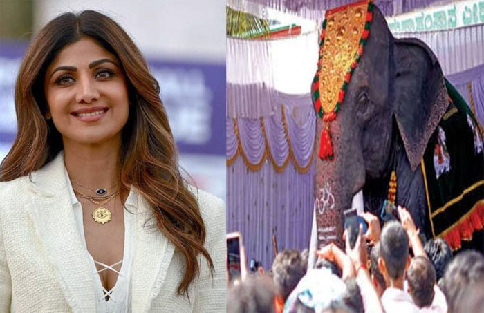  മൂന്നുമീറ്റര്‍ ഉയരവും 800 കിലോ തൂക്കവും; റബ്ബര്‍, ഫൈബര്‍, സ്റ്റീല്‍ എന്നിവ ഉപയോഗിച്ച് നിര്‍മ്മിച്ച ആനയ്ക്ക് 10 ലക്ഷം രൂപ: ക്ഷേത്രത്തിലേക്ക് യന്ത്ര ആനയെ സമര്‍പ്പിച്ച് നടി ശില്‍പ ഷെട്ടി 