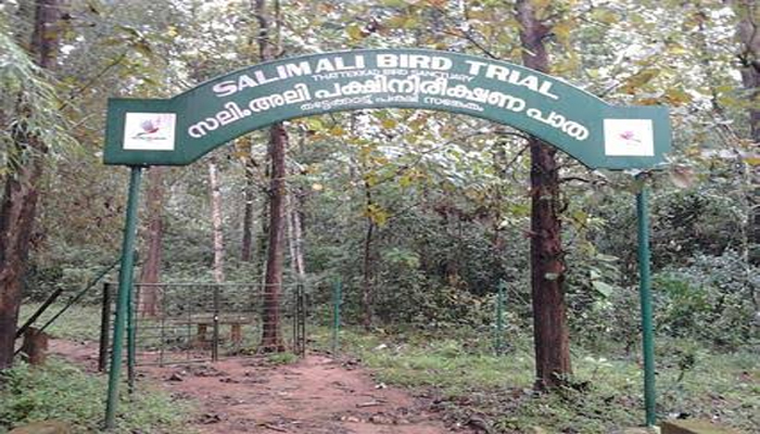 തട്ടേക്കാടിലേക്ക് ഒരു യാത്ര പോയാലോ