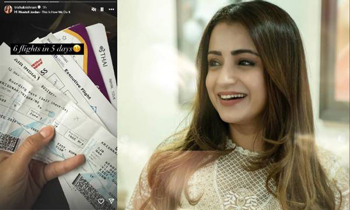  ഒരു ഫ്ളൈറ്റ് യാത്ര മാത്രമല്ല ഈ അഞ്ച് ദിവസത്തിനുള്ളില്‍ ഞാന്‍ നിറയെ ഫ്ളൈറ്റ് യാത്ര നടത്തി; വിജയ്‌ക്കൊപ്പമുള്ള വിമാനയാത്ര ഗോസിപ്പുകള്‍ക്കിടെ  മാസ്സ് പ്രതികരണവുമായി തൃഷ കൃഷ്ണന്‍