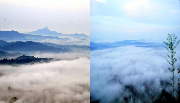 കോട്ടപ്പാറമലയില്‍ മഞ്ഞു പെയ്യുന്നതു കാണാന്‍ ഒരു വെളുപ്പാന്‍കാല യാത്ര..