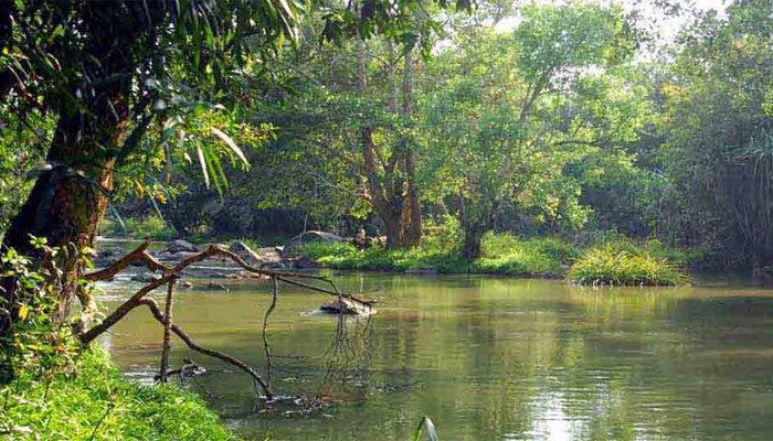 കുറുവയുടെ സൗന്ദര്യം നുകരാം, മുളം ചങ്ങാടത്തില്‍ യാത്ര പോകാം