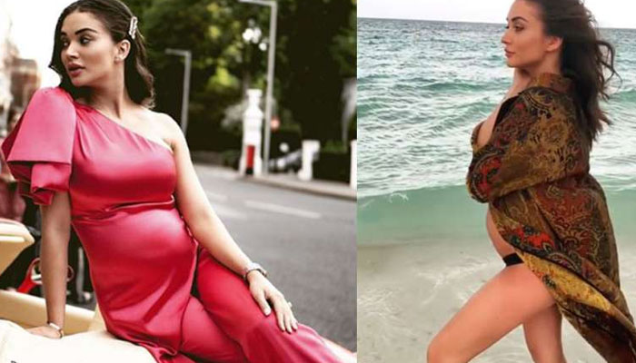 ആറാം മാസത്തിലെ ഈ യാത്രയില്‍ എനിക്ക് ഭ്രാന്താണെന്ന് ആളുകള്‍ ചിന്തിച്ചിരിക്കും; പക്ഷേ ഇതൊരു അതിശയകരമായ അനുഭവമാണ്; ഗര്‍ഭകാലത്ത് വേറിട്ട കുറിപ്പുമായി യമി ജാക്‌സണ്‍