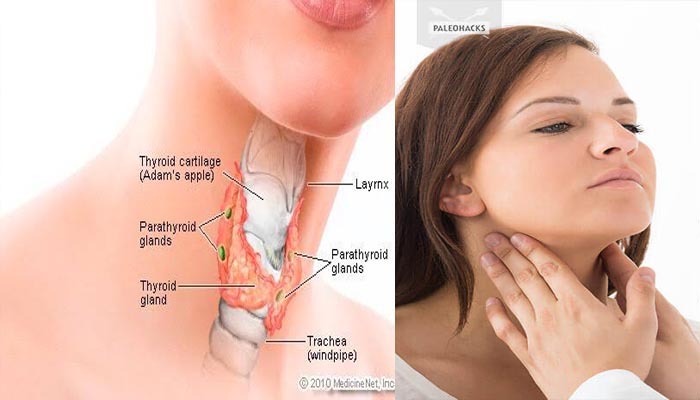 തൈറോയിഡോ; അറിയുക ഈ ലക്ഷണങ്ങളെ